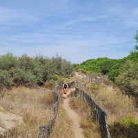 Photo de France - La randonnée de la Tamarissière